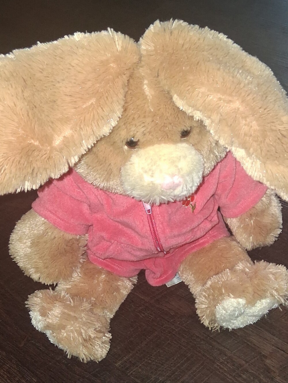Y2k Build A Bear Bunny in Pink Jacket